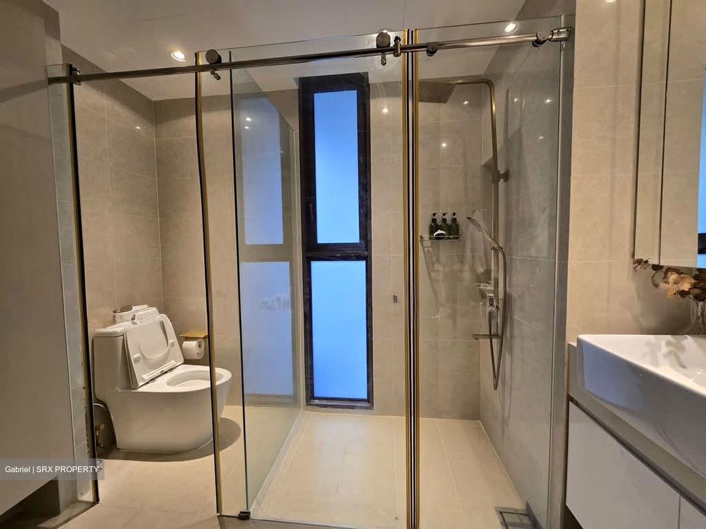 Archipelago (D16), Condominium #595804031